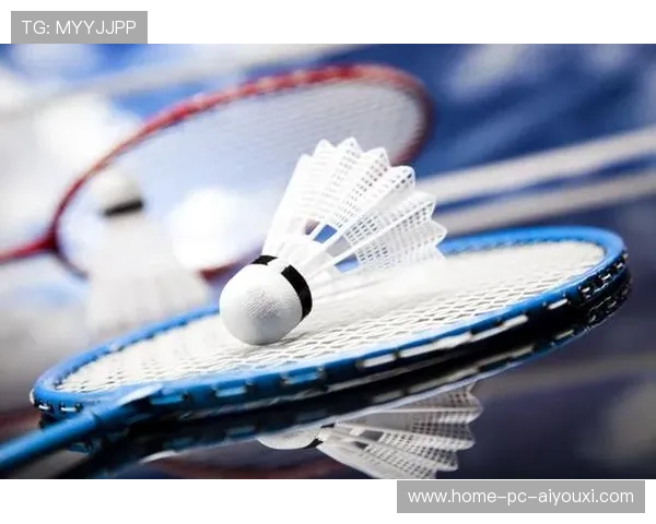 羽毛球赛事营销创意案例集锦